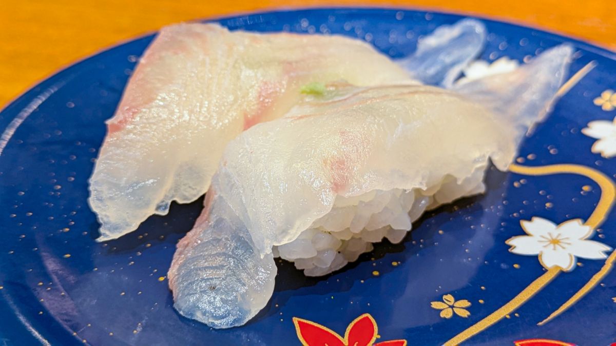 hirame-sushi