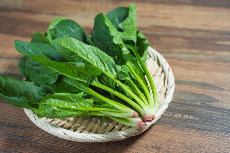 ほうれん草1