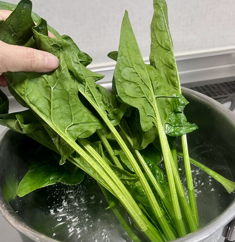 ほうれん草２