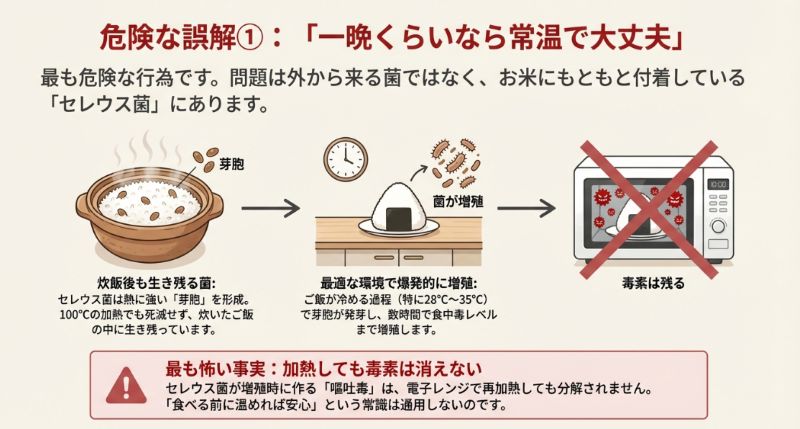 お米に付着しているセレウス菌が、加熱に強い「芽胞」を形成し、常温放置で増殖して毒素を出すメカニズムの図解。