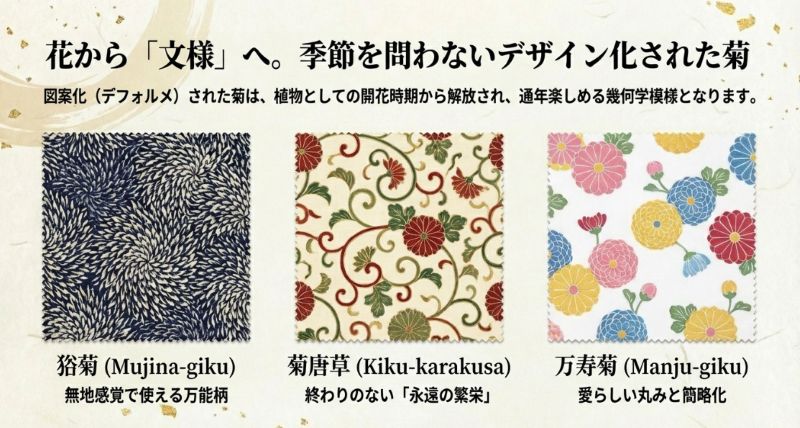 狢菊、菊唐草、万寿菊など、幾何学模様として通年楽しめるデザイン菊の例