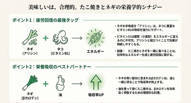 ネギのアリシンがタコのビタミンB1吸収を助け疲労回復を促す仕組みと、油によるβカロテンの吸収率アップを解説する図解スライド。