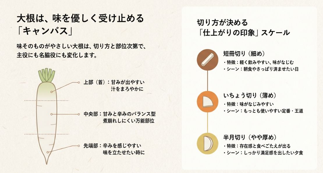 大根の部位ごとの味の特徴（上部・中央・先端）と、短冊切り・いちょう切り・半月切りによる仕上がりの違いをまとめた解説図。