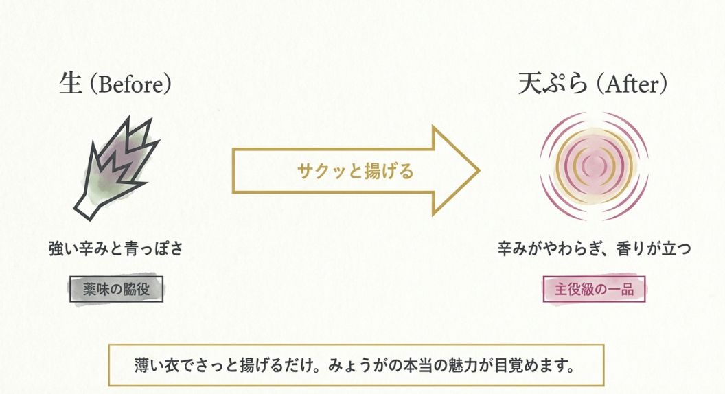 生のみょうがは辛みが強く薬味向けですが、天ぷらにすると香りが立ち主役級の一品に変わることを示すBefore/Afterの比較図。