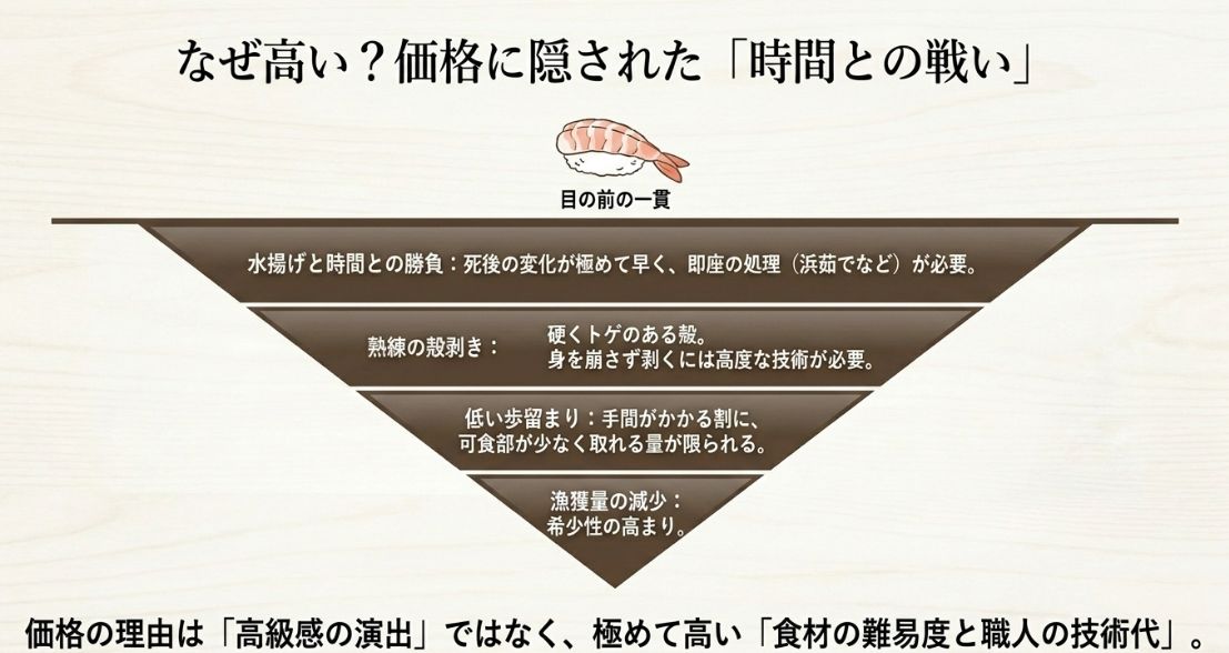 鮮度管理の難しさ、熟練の殻剥き、低い歩留まりなど、高価な理由が職人の手間に集約されることを示す図解スライド