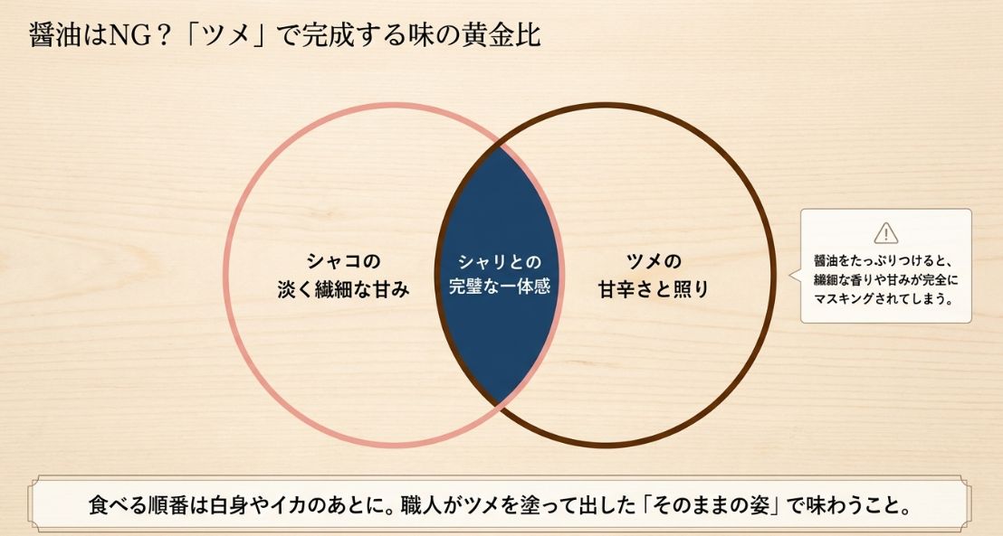 シャコの淡い甘みとツメの甘辛さが合わさり、シャリと完璧に一体化する様子をベン図で示したスライド