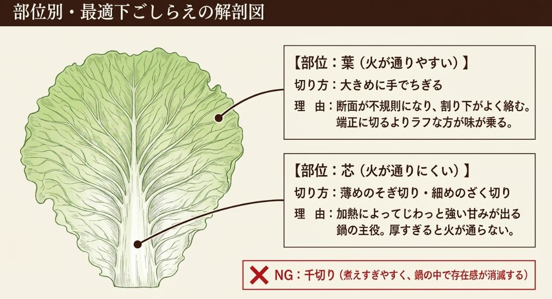 葉は大きめにちぎり、芯は薄めのそぎ切りにする。千切りはNGとする部位別の切り方図解