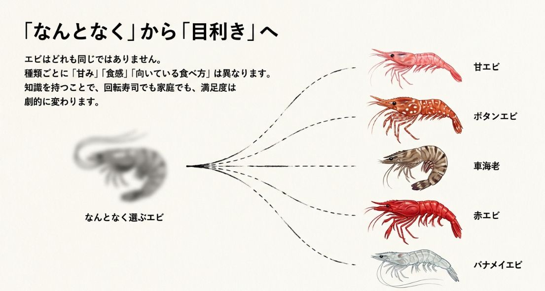 エビの種類によって「甘み」「食感」「向いている食べ方」が異なることを解説し、甘エビやボタンエビ、車海老などの代表的な種類を列挙したスライド 。