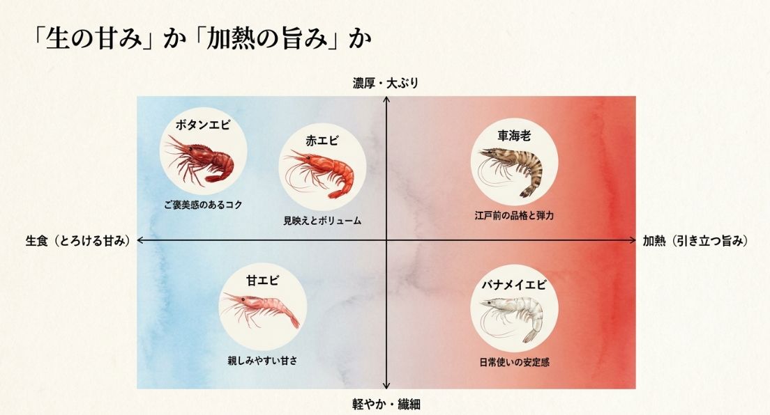「生食（とろける甘み）」向きの甘エビ・ボタンエビと、「加熱（引き立つ旨み）」向きの車海老・バナメイエビなどを視覚的に分類したスライド 。