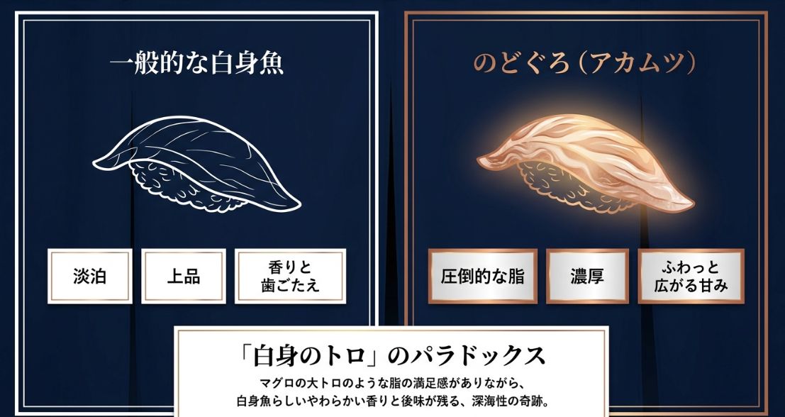 一般的な白身魚（淡泊、上品）とのどぐろ（圧倒的な脂、濃厚、甘み）を比較し、「白身のトロ」のパラドックスを説明する図解。