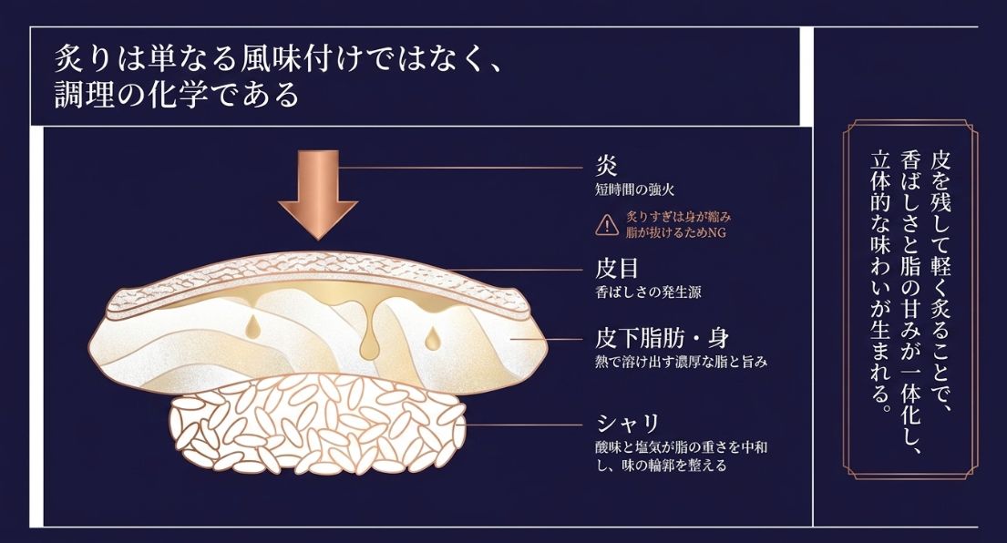のどぐろの断面図。炎、皮目、皮下脂肪、シャリの役割を解説し、炙ることで香ばしさと脂の旨みが一体化する仕組みを示しています。