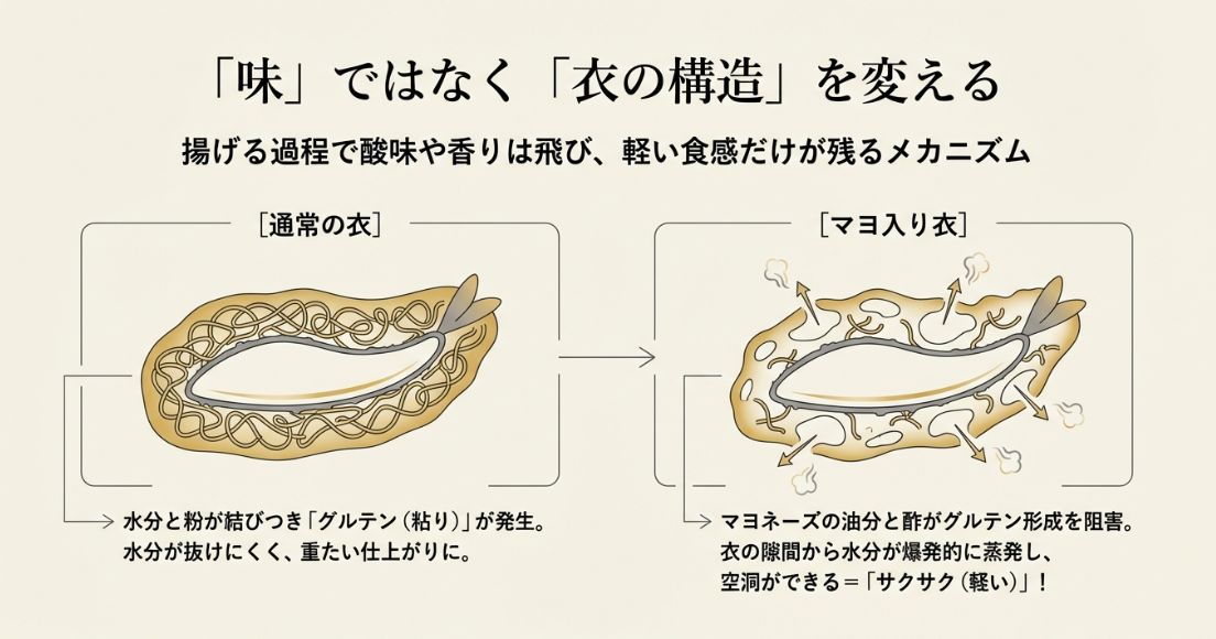 通常の衣はグルテンで水分が抜けにくい一方、マヨ入り衣は油分と酢がグルテン形成を抑え、水分が蒸発して空洞ができることでサクサクになる仕組みの図解