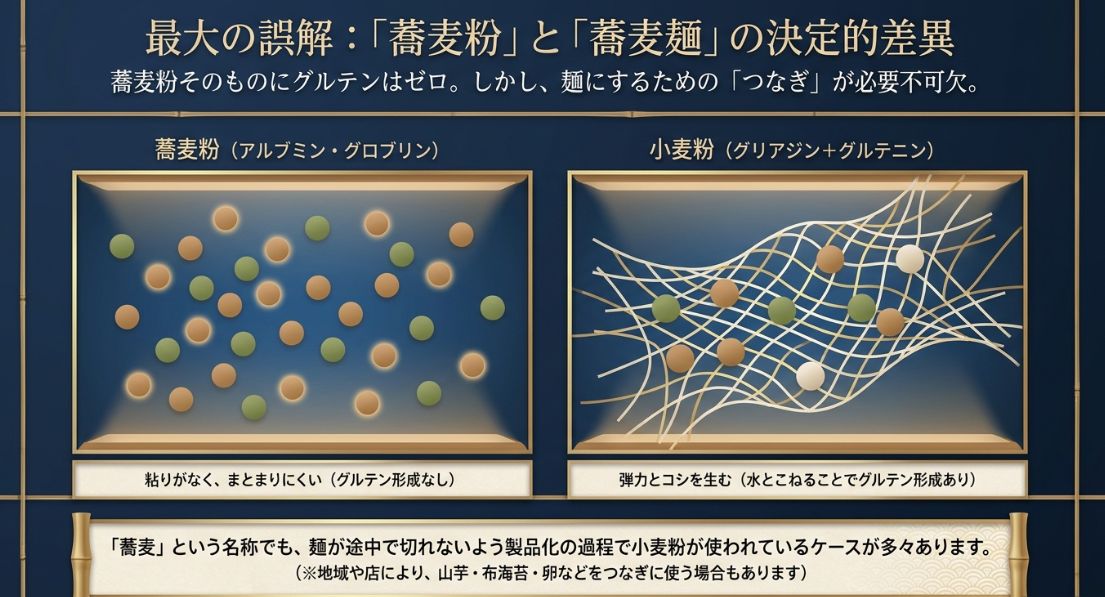 蕎麦粉(グルテンなし)と小麦粉(グルテンあり)のたんぱく質の性質の違いと、つなぎの役割を図解したスライド。