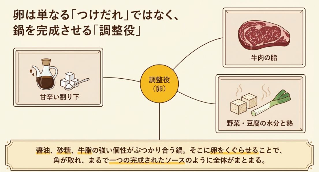 牛肉の脂、甘辛い割り下、野菜・豆腐の水分という強い個性を、卵が「調整役」として中心でまとめ上げ、一つのソースのように完成させることを示す図解。