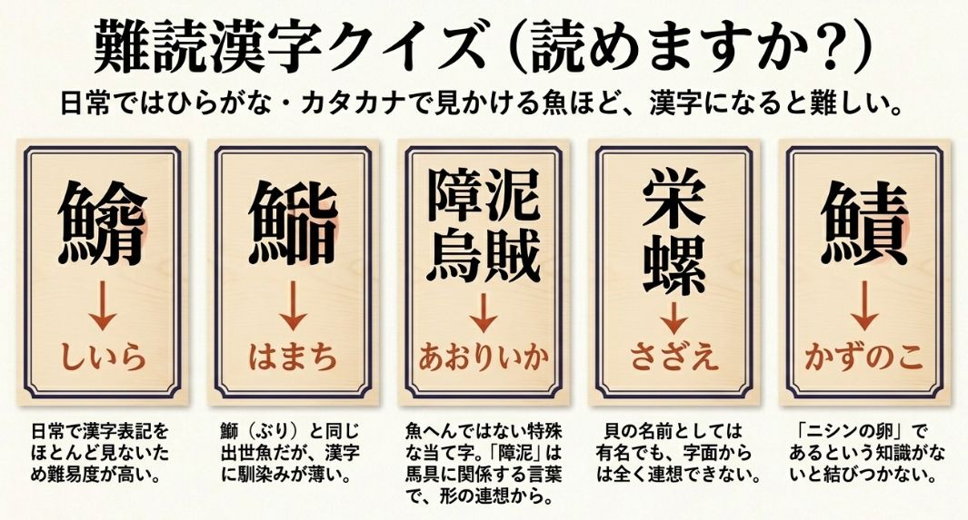 栄螺（さざえ）、魬（はまち）、障泥烏賊（あおりいか）など、日常ではあまり見かけない難しい漢字とその由来をまとめたクイズスライド