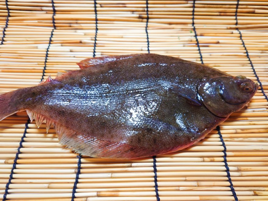 カレイ